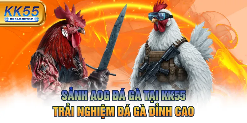 Sảnh AOG Đá Gà Tại KK55 - Trải Nghiệm Đá Gà Đỉnh Cao 3 Sảnh AOG Đá Gà Tại KK55 - Trải Nghiệm Đá Gà Đỉnh Cao