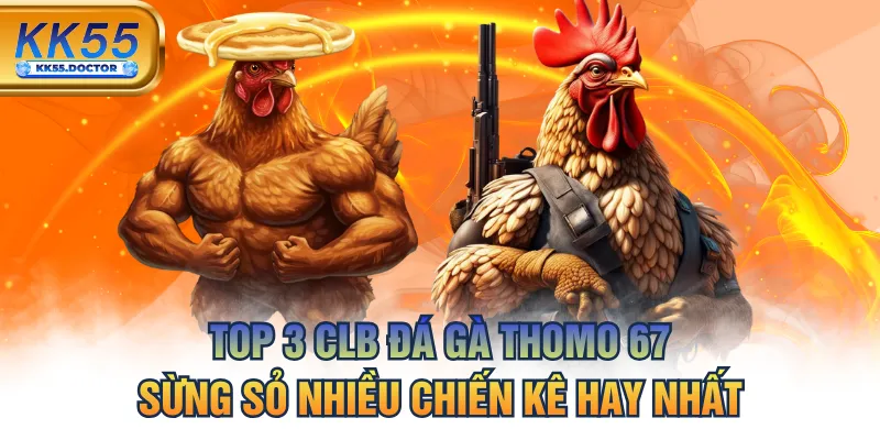 Top 3 CLB Đá Gà Thomo 67 Sừng Sỏ Nhiều Chiến Kê Hay Nhất 1 Top 3 CLB Đá Gà Thomo 67 Sừng Sỏ Nhiều Chiến Kê Hay Nhất